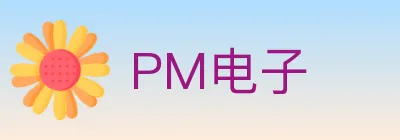 PM电子 Logo